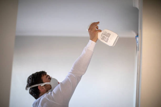 Best Home Mold Removal  in Three Rivers, TX