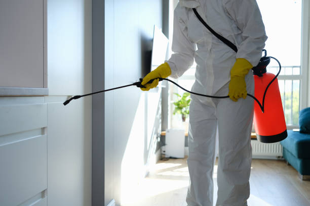 Best Commercial Mold Removal  in Three Rivers, TX
